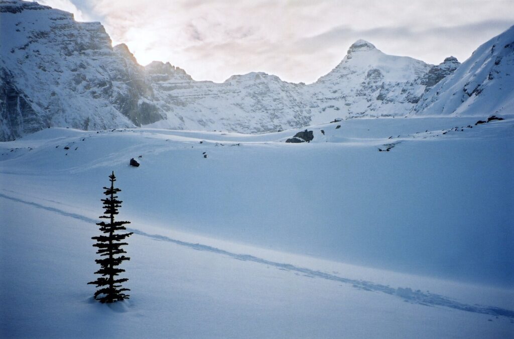 Alpine skiing on Parker Ridge in Banff National Park, near the Columbia Icefields and the Jasper National Park boundary.