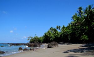 Corcovado National Park is located on the Osa Peninsula, Costa Rica