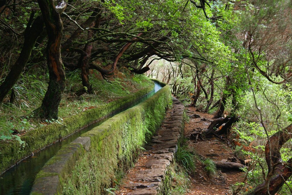 Levada near Rabaçal, Madeira