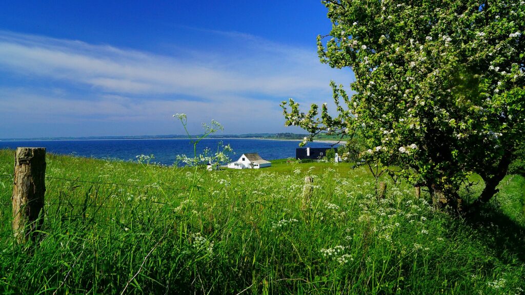 Mols Bjerg National Park