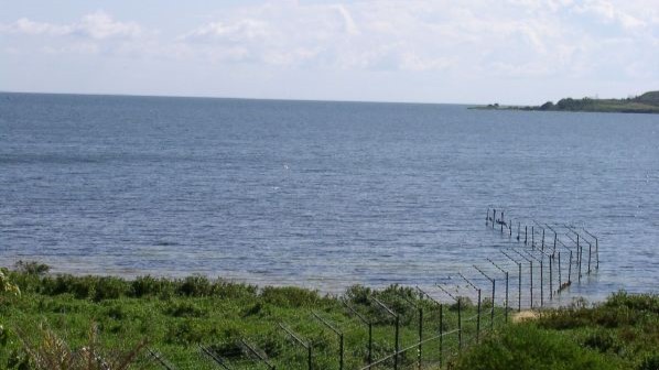 Ngamba Island Chimpanzee Sanctuary