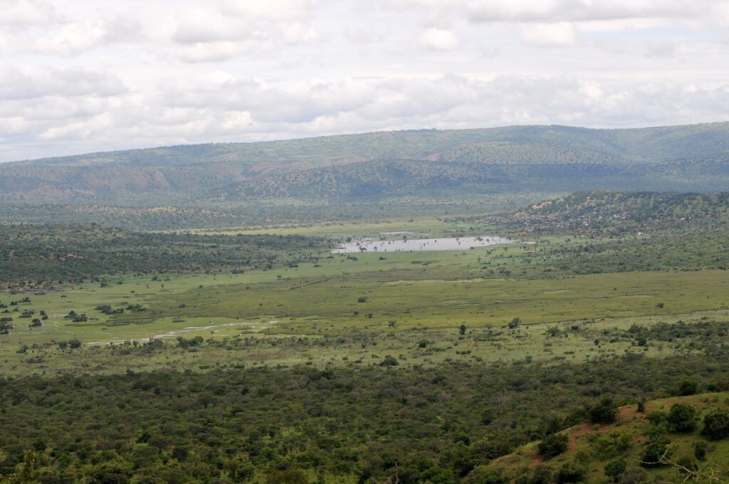 A view of the Parc National d'Akagera, Rwanda