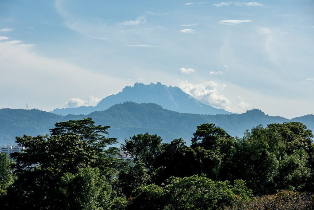 Borneo's Lush Rainforests