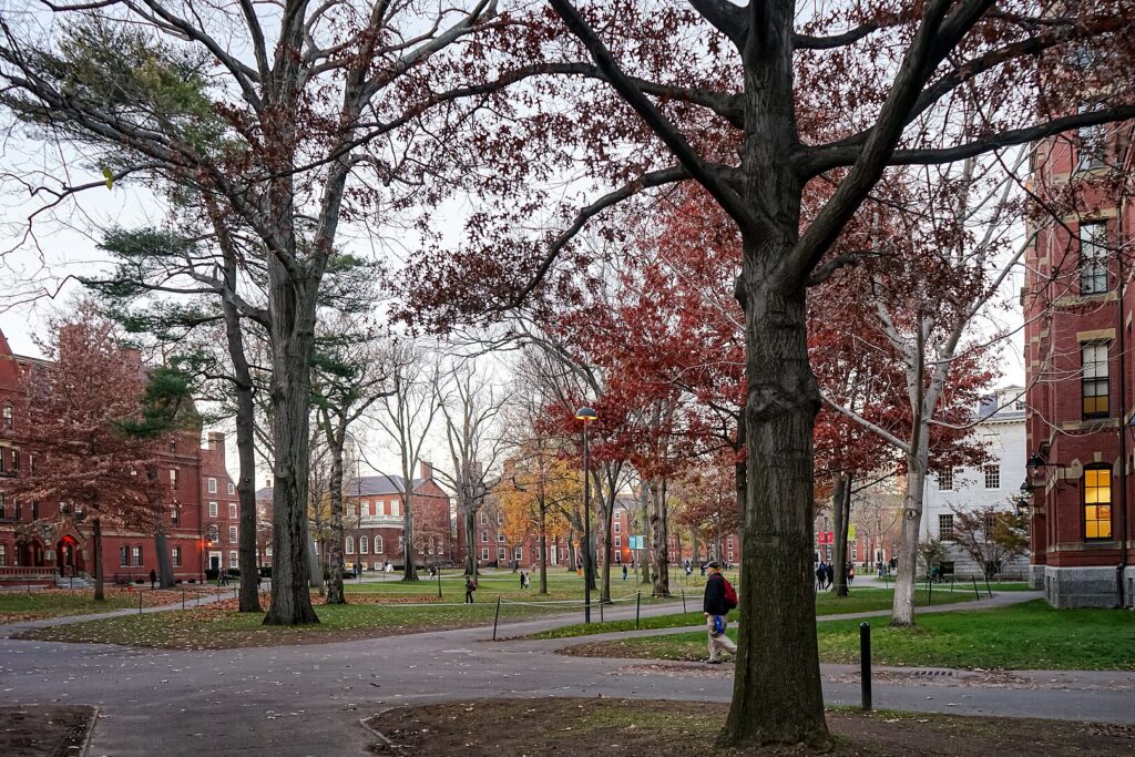 Harvard Yard in December 2015