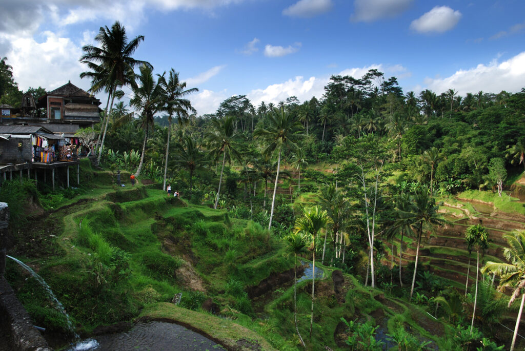 Rice terraces in Tagallalang